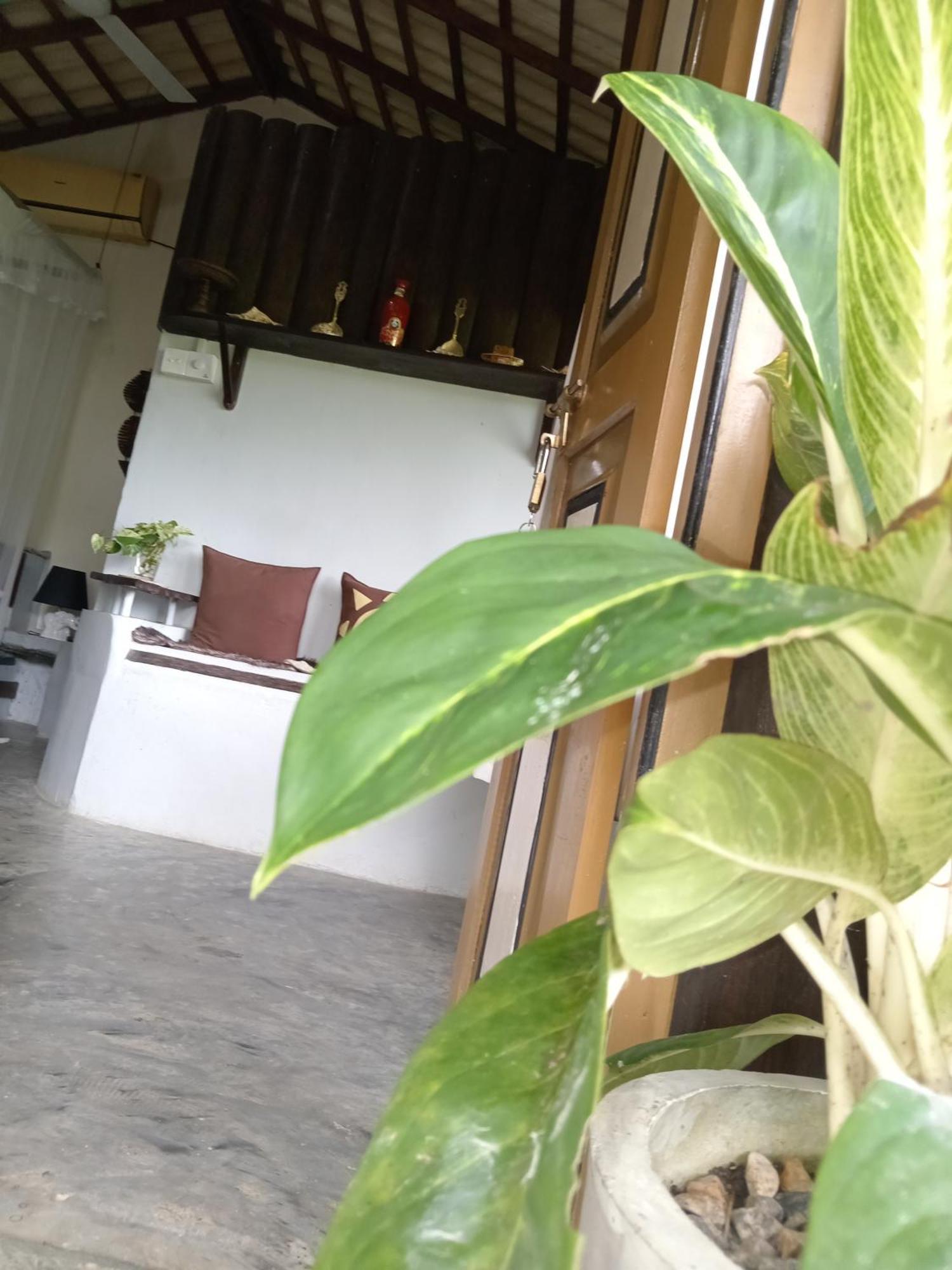 Hathawariya Green View Cabin Talpe Bagian luar foto